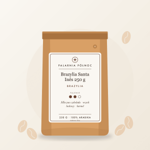 Kawa mielona Brazylia Santa Inês 250 g (drip)