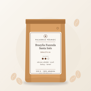 Brazylia Fazenda Santa Inês