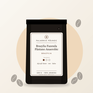 Brazylia Fazenda Pântano Anaerobic