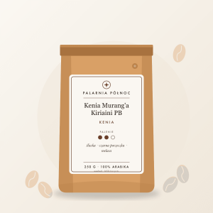 Kenia Murang'a Kiriaini PB